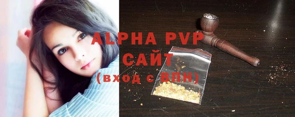 молекула духа Вяземский