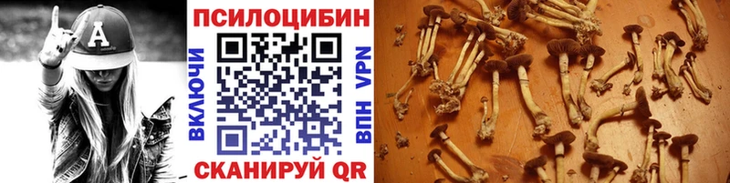 Псилоцибиновые грибы мухоморы  Купить где  Кропоткин 